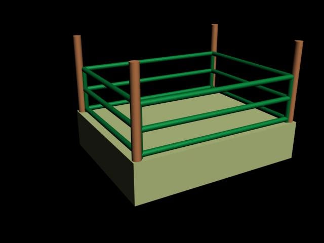 wrestling stadium toy